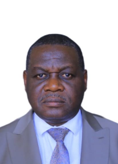 Président du Conseil provincial de Haut-Katanga
